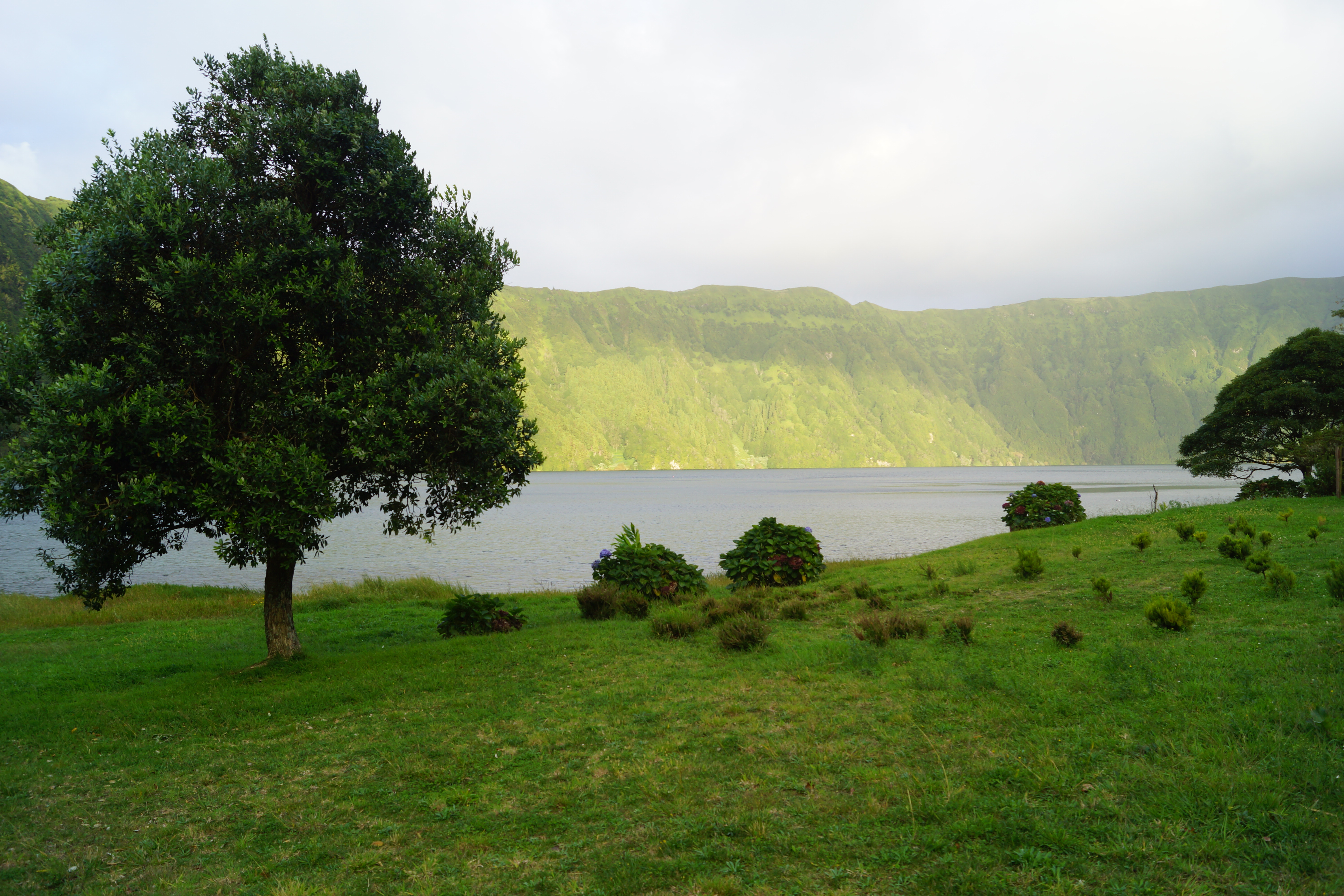 Bild von einer Hügellandschaft mit Bäumen und einem Fluss