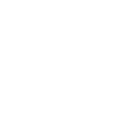 Icon - Instagram